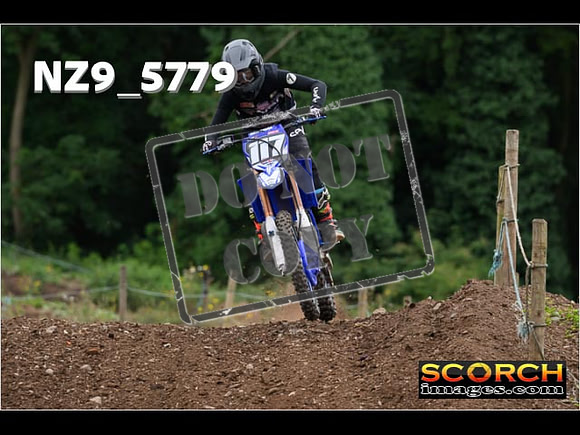 Experts-248