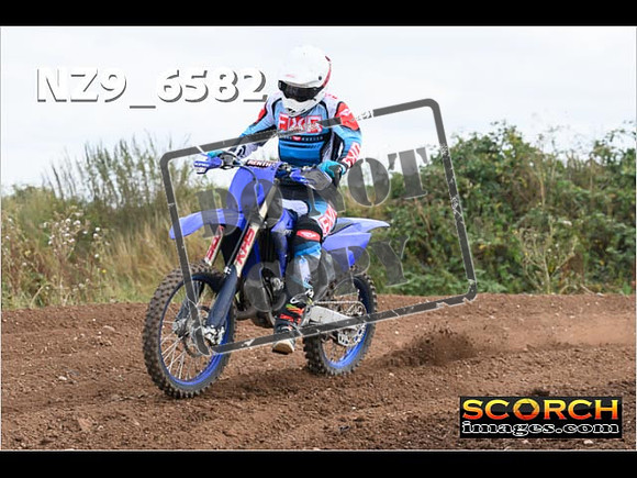 Experts-289