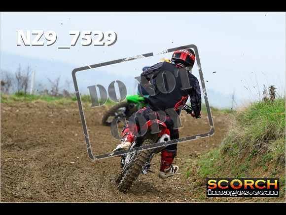 Experts-074