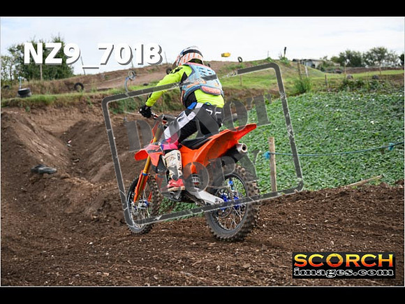 Experts-090