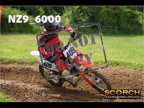 Experts-086