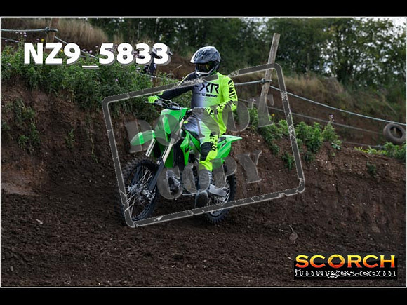 IntersGreen-025