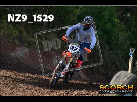 Experts-216