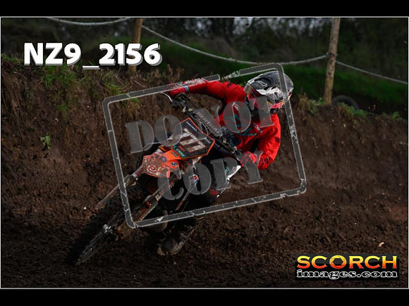 Experts-161