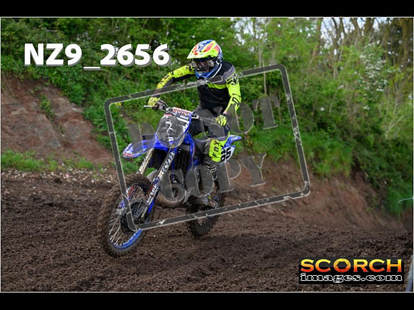Experts-119