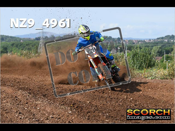 Experts-041