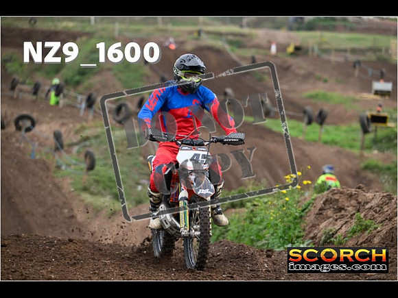 IntersGreenOrange-006