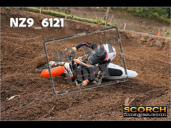 Experts-037