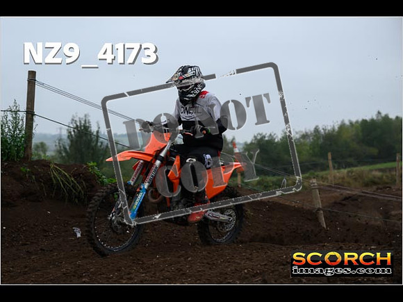IntersGreenOrange-148