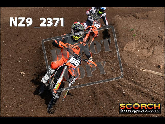 Experts-029