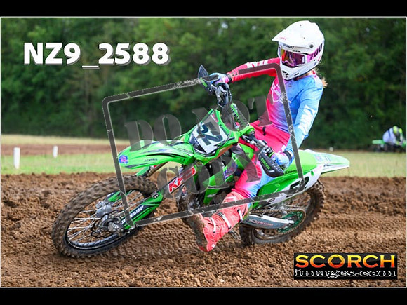 Experts-149