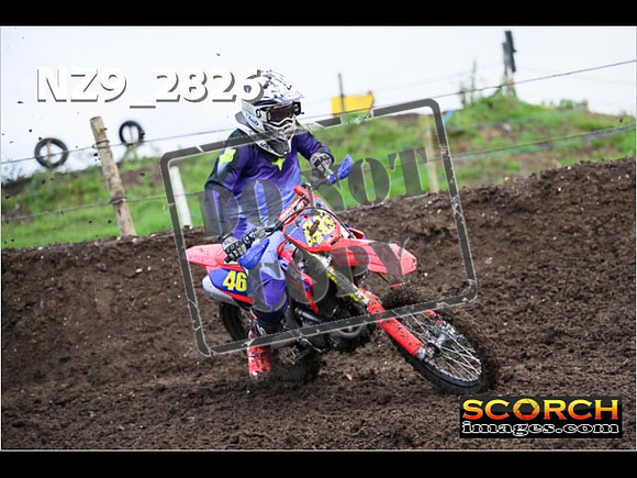 Experts-049