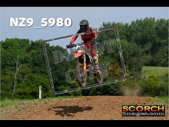 Experts-066