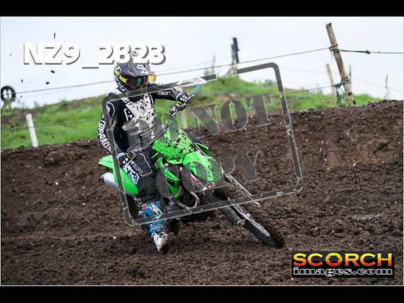 Experts-047