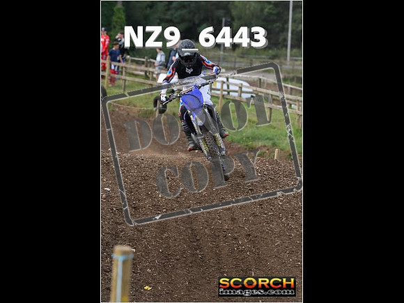 Experts-158