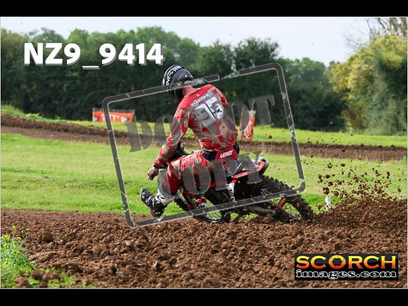 Experts-081