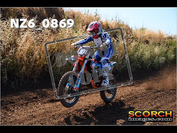 Experts-031