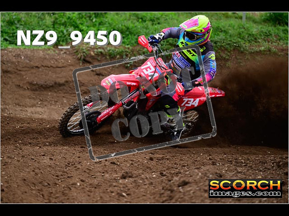 Experts-053