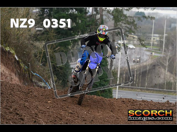 IntersGreenOrange-066