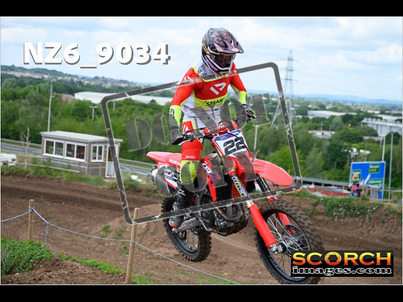Experts-099