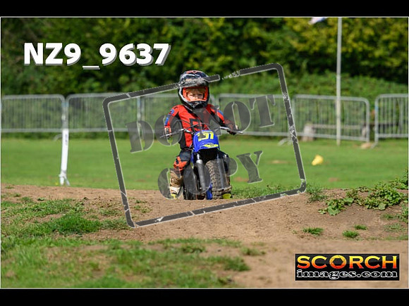 PeeWee Track-06