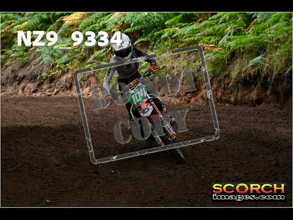 85'S-081