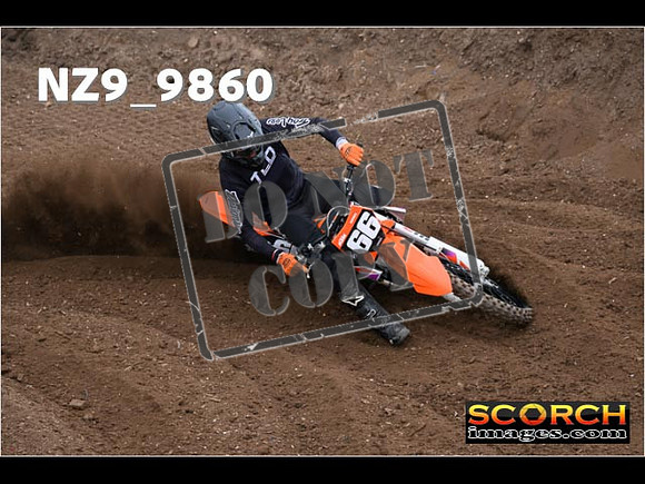 Experts-081