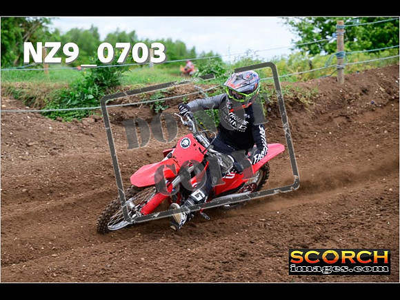 Experts-032