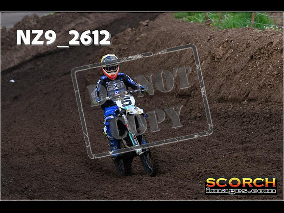 Experts-079