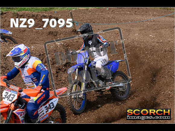 Experts-486