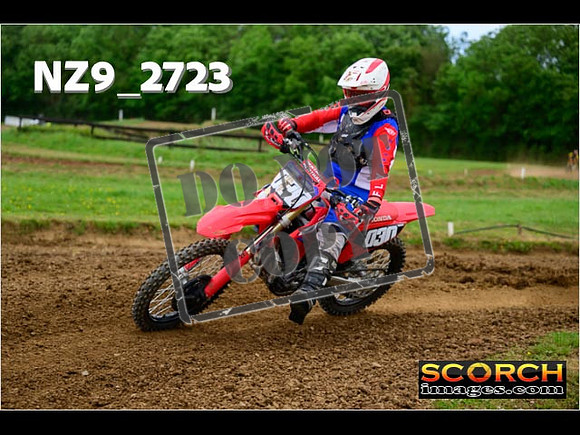 Novice-312