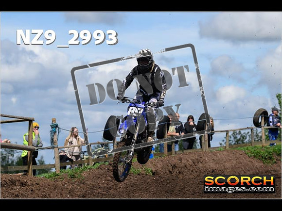 Inters-239