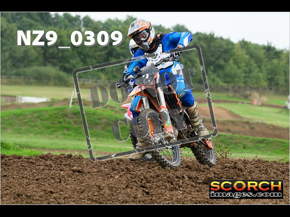 Novice-278