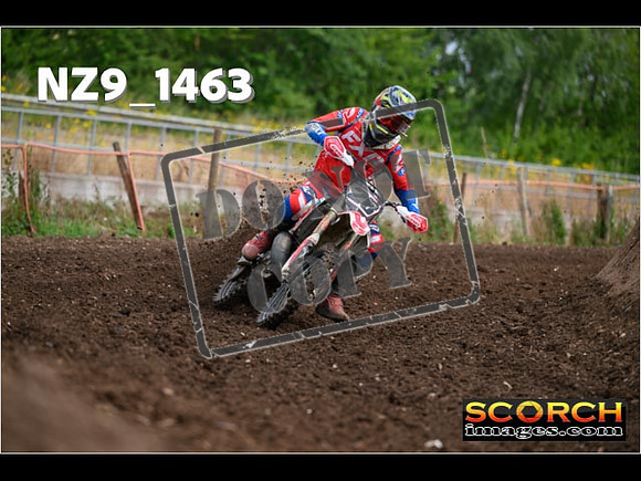 Experts-013