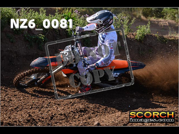 Experts-077