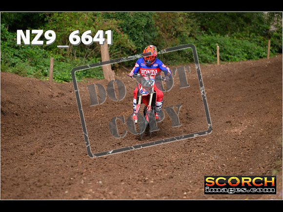 Red- Over 60-023