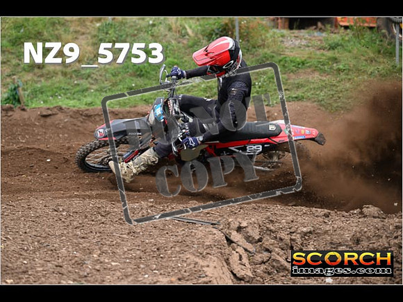 Experts-223