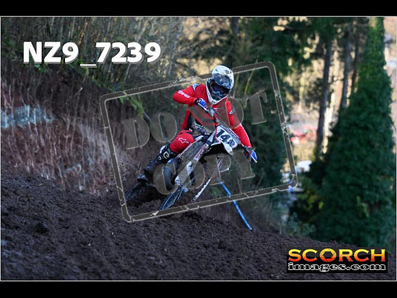 Experts-051