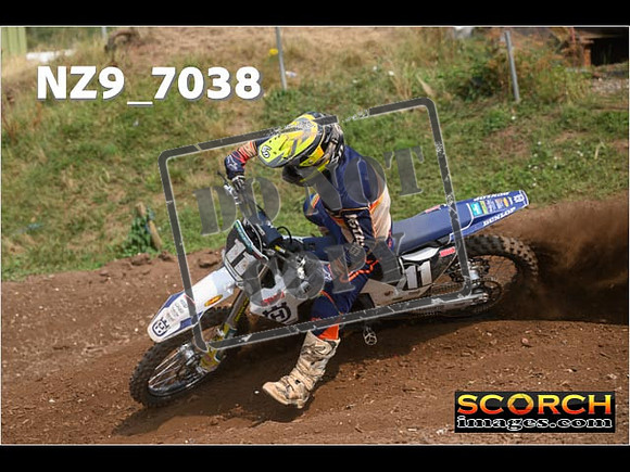 Experts-434