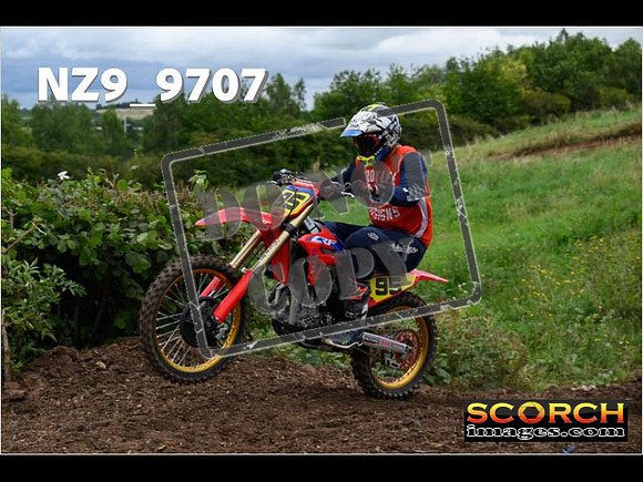 Experts-099
