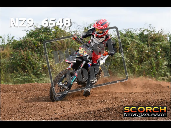 Experts-257