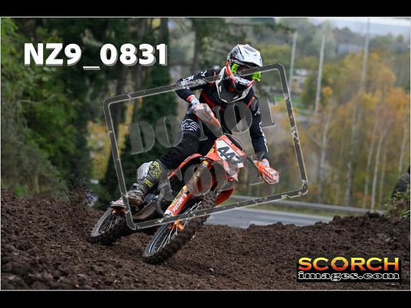 Experts-132