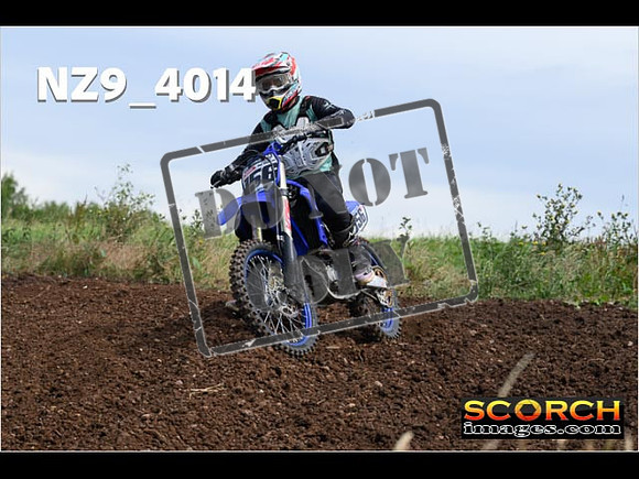 Experts-121