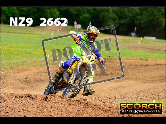 Novice-251