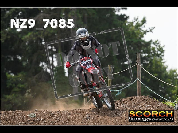 Experts-476