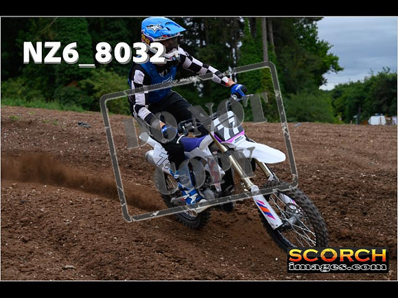 Experts-217