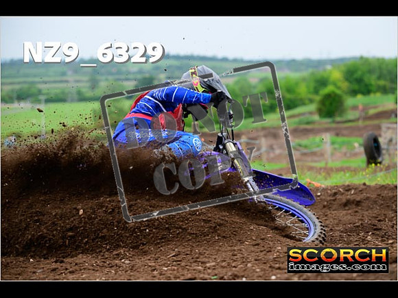 Experts-082