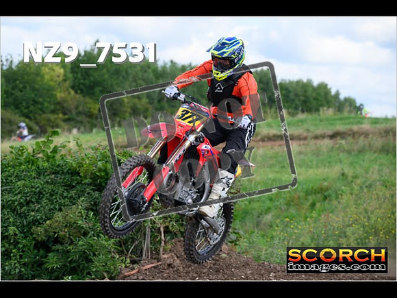 IntersGreenOrange-019