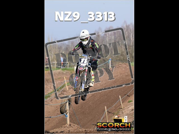 IntersGreen-067