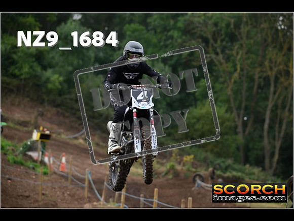 IntersGreenOrange-090